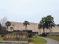 -自贡恐龙博物馆