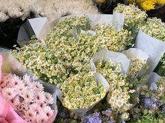 -循礼门鲜花花市(武汉循礼门店)