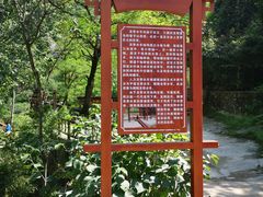 -灵溪风景区