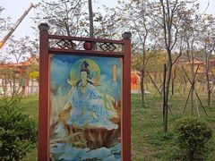 -三水森林公园