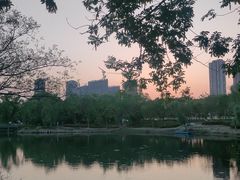 -贡湖湾湿地公园