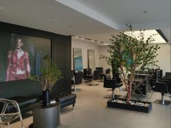 点击看大图 -付军剪艺JF ProSalon