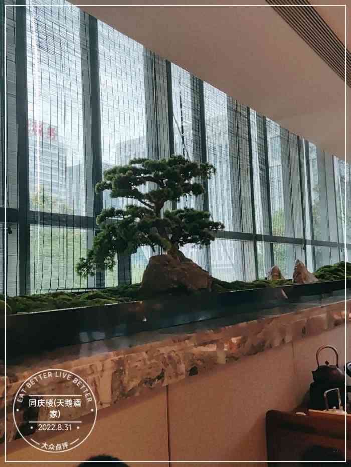 同庆楼(天鹅酒家)-"#环境# 在合肥中院的对面,同庆楼的牌子.