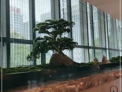 -同庆楼(天鹅酒家店)