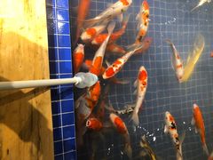-昆明大悦城未来动物城(螺蛳湾中心店)