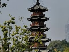 -龙华素斋(龙华路店)