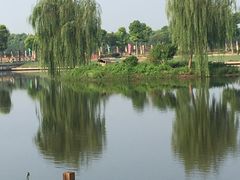 -明珠湖天鹅苑·农家菜馆