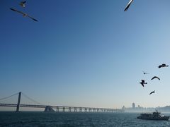 -星海湾跨海大桥