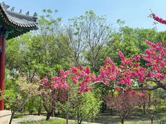 -北京凤凰岭