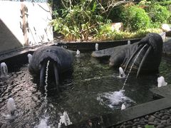 -珠海圆明新园