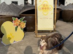 -苏州市吴中区光福窑上花果蜜饯厂