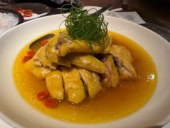 陈年花雕蒸农场草鸡-玫瑰厅上海菜(兴国路店)