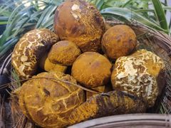 -滇铺子(欣都龙城店)