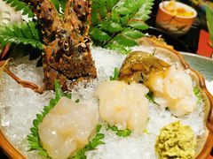 -初花·日本料理