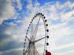 -锦江乐园舞狸花花游园会(夜场专享)