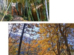 -巨石山景区