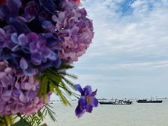 -上海滨江森林公园