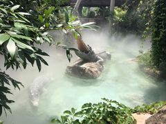 -珠海长隆海洋王国