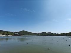 -顺峰山公园