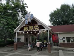 -酷酷兔少儿拓展天地