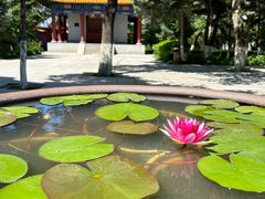 -大乘寺