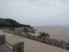 -深圳湾公园(南山区)