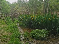 -白水寺森林公园