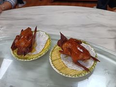 -麻奢鸽农庄·梦里水乡