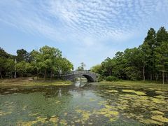 -长广溪湿地公园