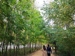 -长春市南湖公园