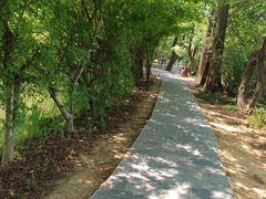 -东湖落雁景区