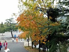 -龙口南山旅游景区