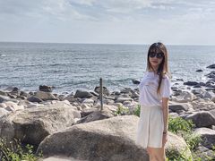 -广东惠东海龟国家级自然保护区