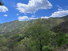 -北京鹫峰国家森林公园