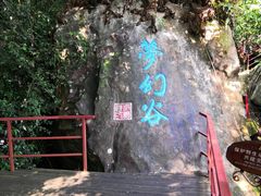-呀诺达热带雨林
