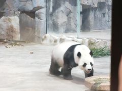 -栾川竹海野生动物园