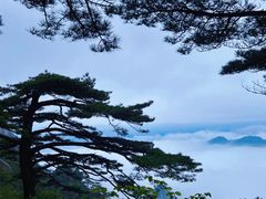 -黄山风景区
