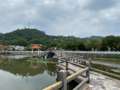 -红山村