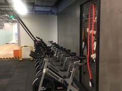 -健身专家Wellness Experts