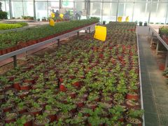 -兰陵国家农业公园