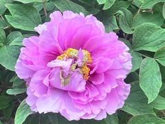 -江南大学(蠡湖校区)