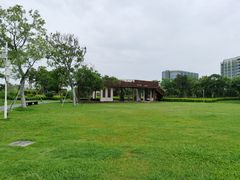 -宝安西湾红树林湿地公园