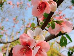 -广富林郊野公园