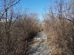 -元大都城垣遗址公园