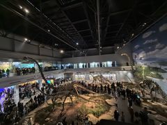 -自贡恐龙博物馆