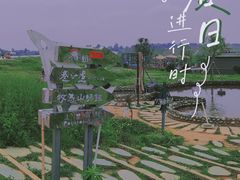 -空港花田景区