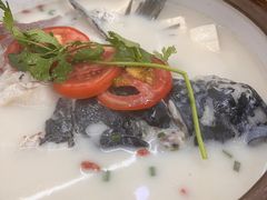 -全乐鱼馆·淳牌有机鱼直营店