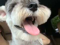 -萌兽医馆·宠物医院·猫骨科(创景店)