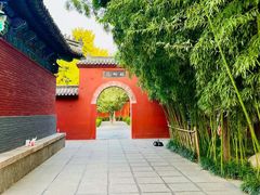 -洛阳白马寺