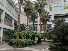 -沈坚强游泳俱乐部(长征分部)